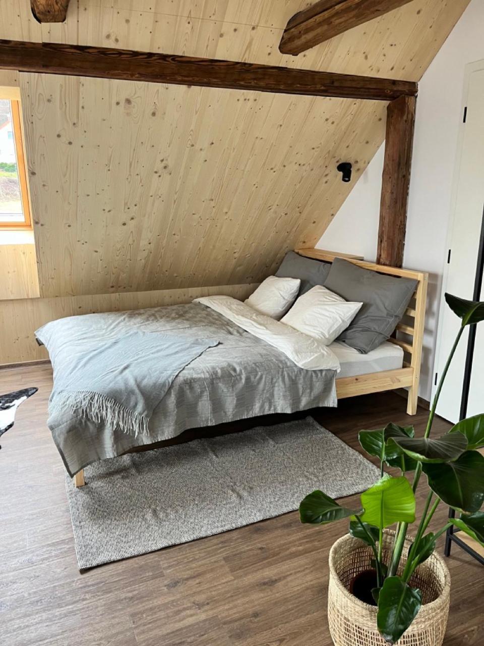 Sanky Apartmany Liberec Exteriör bild